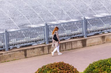 Yazın parktaki bitkiler ve doğa. Yapraklar, çimenler, ağaçlar, doğa