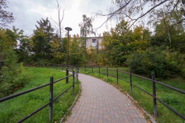 Yazın parktaki bitkiler ve doğa. Yapraklar, çimenler, ağaçlar, doğa