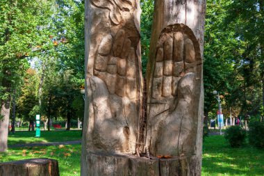 Yazın parktaki bitkiler ve doğa. Yapraklar, çimenler, ağaçlar, doğa