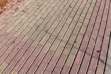 Arka planlar için kırmızı dikdörtgen kaldırım taşlarının dokusu. Parktaki Pavement