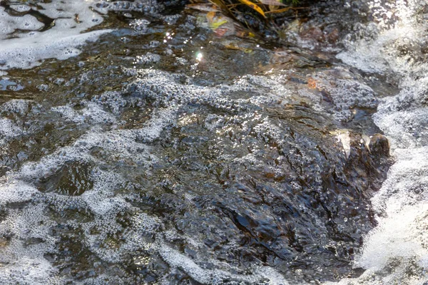 공원에 강가에서 흐르는 거품같은 — 스톡 사진