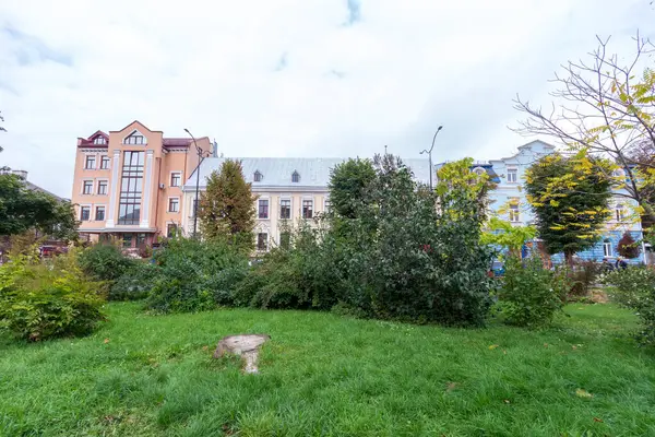 Rostliny Příroda Parku Létě Listy Tráva Stromy Příroda — Stock fotografie