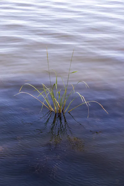Tekstur Air Pada Gelombang Danau Untuk Latar Belakang — Stok Foto