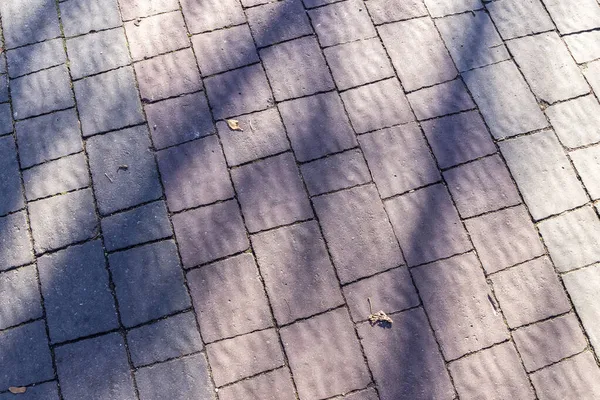 Textur Aus Rotem Rechteckigem Kopfsteinpflaster Für Hintergründe Pflaster Park — Stockfoto