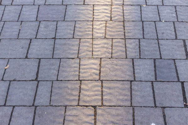 Pavement Textur För Bakgrunder Solen Parken — Stockfoto