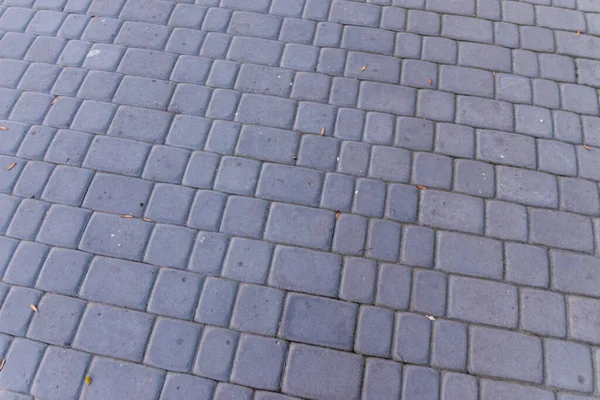 Текстура Тротуара Фона Солнце Парке — стоковое фото