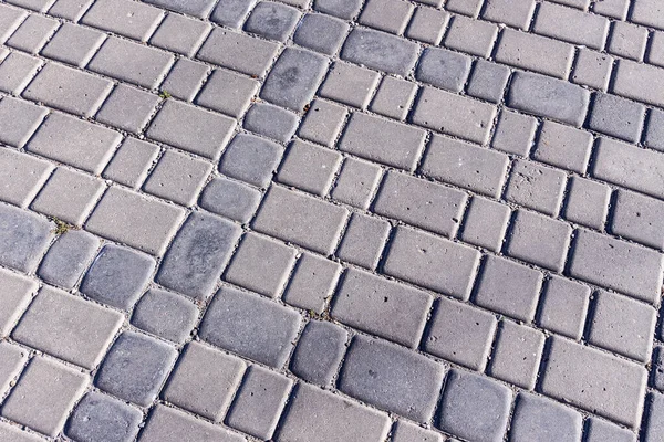 Pavement Texture Backgrounds Sun Park — Stock Photo, Image