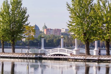 Parkta sonbahar gezintisi güneşli havada