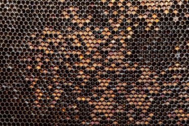 Bee frame texture for backgrounds. Frame on a piss on the farm