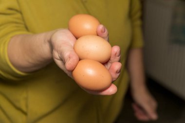Mutfakta sarı tavuk yumurtası.