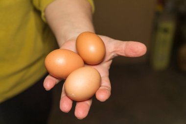 Mutfaktaki avuçlarında çiğ yumurta var. Çiftlikten ev yapımı tavuk yumurtası.