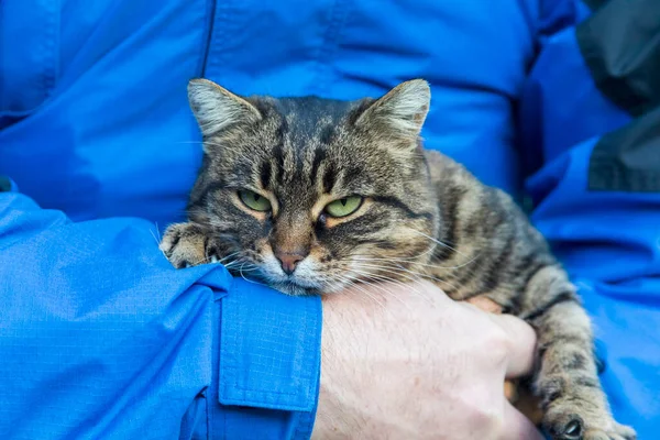 Mavi ceketli bir adam kollarında bir kedi tutuyor.
