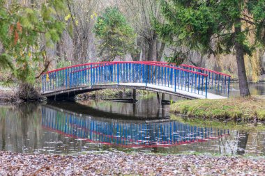 Suyun üzerindeki yarı dairesel ahşap köprü. Sonbahar parkındaki köprü