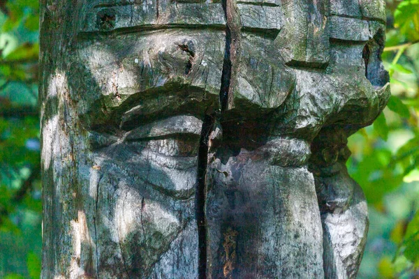 Holzskulptur Eines Weisen Soldaten Park — Stockfoto