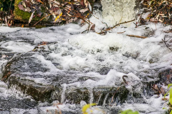 Forte Corrente Nel Fiume Nel Parco Acqua Torrente Autunnali — Foto Stock