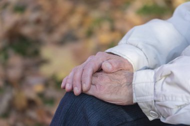 Parkta dizlerinin üstünde yaşlı bir adamın elleri.