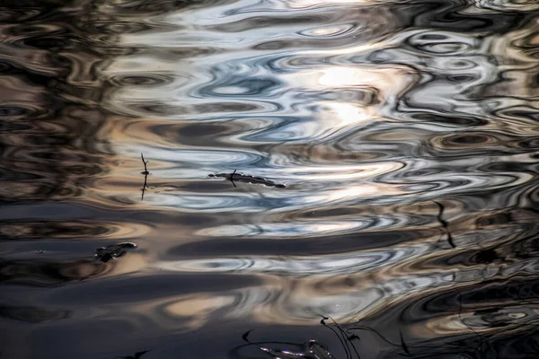 Texture Eau Automne Dans Étang Eau Avec Une Lueur Jaune — Photo