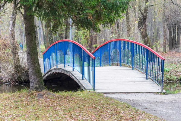 Ponte Semicircolare Legno Colorato Sopra Acqua Ponte Nel Parco Autunnale — Foto Stock