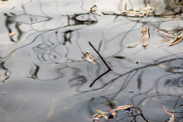 Textura Água Outono Lagoa Água Com Brilho Amarelo — Fotografia de Stock