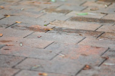 Parktaki gri kaldırım taşlarının dokusu. Arka planlar için konaklama