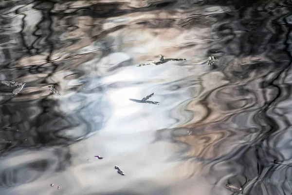 Textura Água Lagoa Para Fundos Ondas Calmas Reflexo Dos Raios — Fotografia de Stock