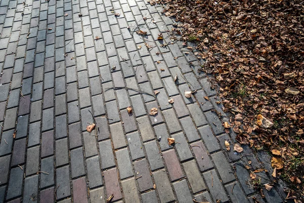 Texture Cobblestones Footpath Park — Stock Photo, Image