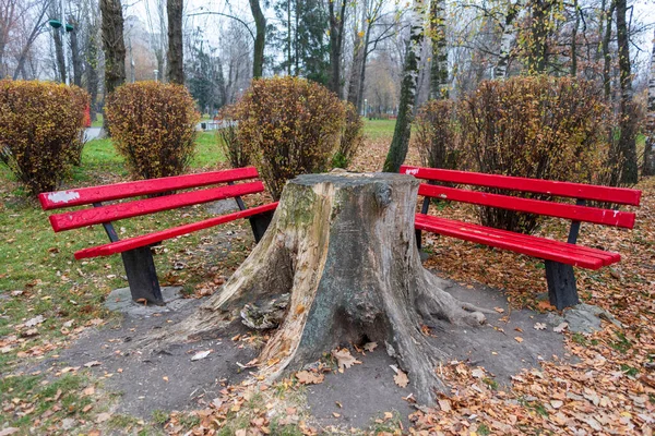 秋の公園にある赤い木製のベンチ — ストック写真