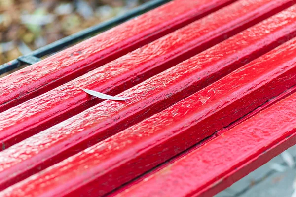 Planches Bois Parallèles Rouges Sur Banc Parc — Photo