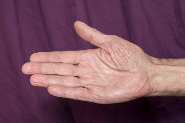 Yaşlı bir adamın palmiyesi ve bordo rengi.