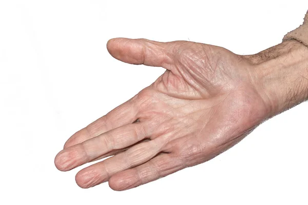 一个白种人的手掌和手指 免版税图库照片