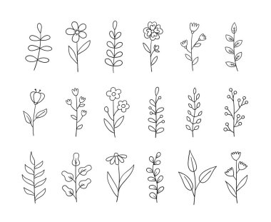 Yapraklar ve çiçekler aynı hizada. El çizimi çiçek elementleri. Karalama çizimi. Tasarım için dekoratif bitkiler. Vektör illüstrasyonu.