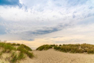 Denize giden çimlerin arasında kumlu bir patika. Deniz kıyısı bitkileri. Çimenli kum tepeciği. Deniz kıyısına giriş izni. Kumsalda ıssız bir patika.