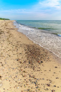 Kumsal kıyısı. Dalgalar çekildi. Kumlu bir sahilde dalgalar kırılıyor. Deniz kıyısı boyunca. Akşam havuzun üstüne düşüyor. Gün batımında deniz manzarası. Baltık Denizi kıyısında Tatil.