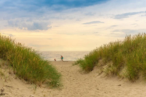 一条通向大海的沙地小径 海洋沿海植被 沙尘与草 到海滨去 沙滩上的一条荒无人烟的小路 — 图库照片