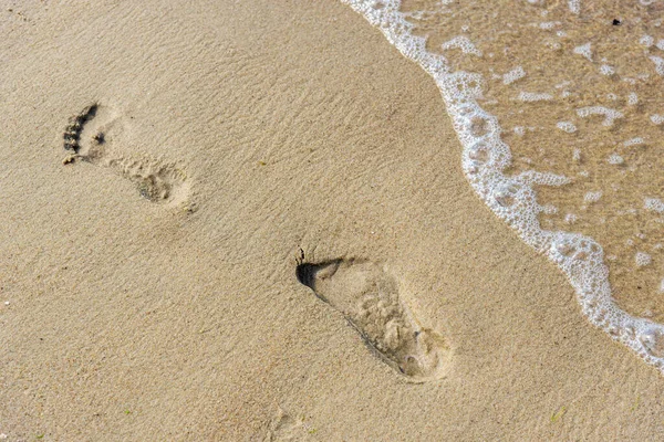 Çıplak ayakla kumdaki insan ayak izleri. Ayaklar kumlu deniz kıyısında. Su kalan izleri temizler. Kumda yürü. Ayak izleri kuma yapışmış..