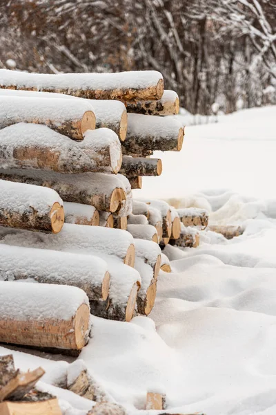 Wood Sawn Logs Lies Pile Snow Harvesting Lumber Sawn Logs — Foto de Stock