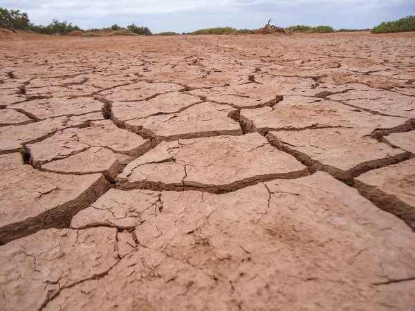 砂漠の床 亀裂と赤で乾燥 — ストック写真
