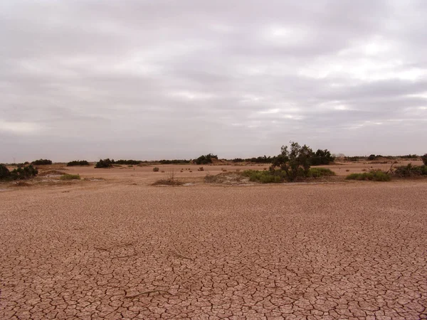 Primo piano della consistenza rotta e grunge del pavimento arido — Foto Stock