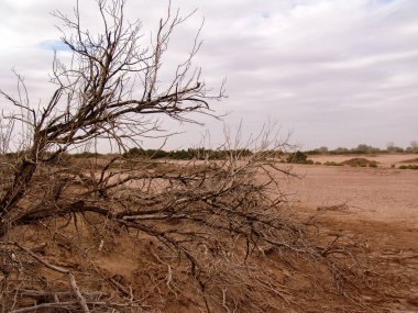 Kurak zeminin kırık ve grunge dokusunun yakın çekimi
