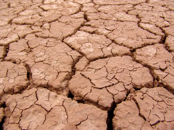 Close-up of broken and grunge texture of the arid floor — Stock Photo, Image