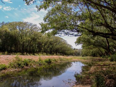 Cordoba, Arjantin 'deki güzel Alpa Nehri