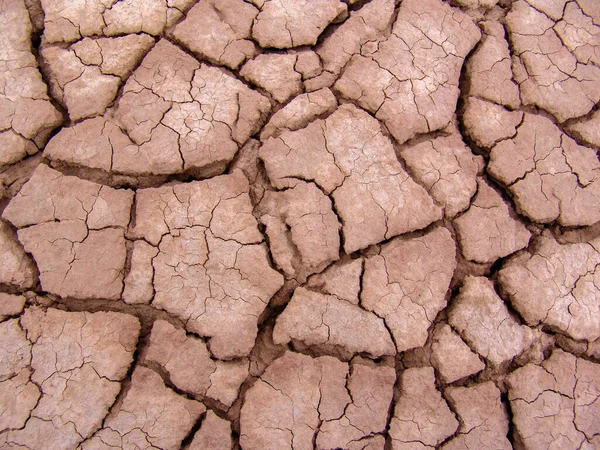 Close-up of broken and grunge texture of the arid floor — Stock Photo, Image