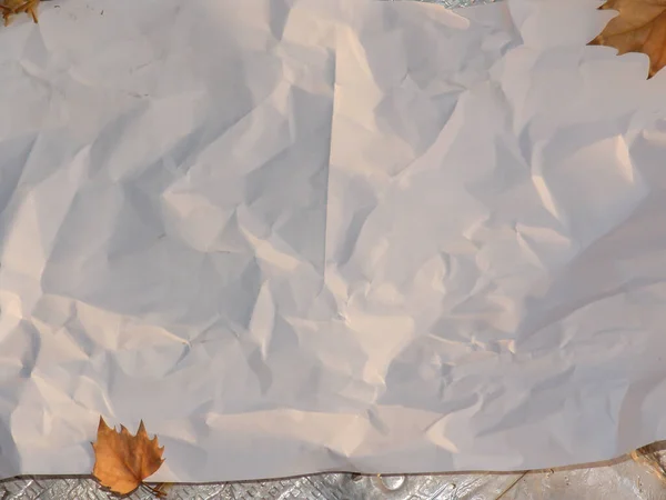 Papel branco danificado no chão com folhas de outono — Fotografia de Stock