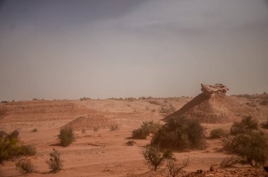 Arjantin 'deki Ay Vadisi' nin kurak çölleri.