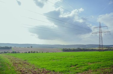 Vahşi ağaç dokusu Almanya 'da yaşlanmış