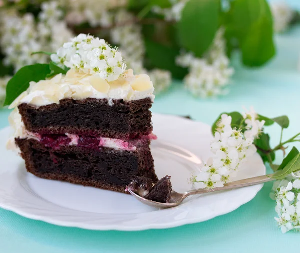 Bird-cherry flour homemade cake with cherries — Stock Photo, Image