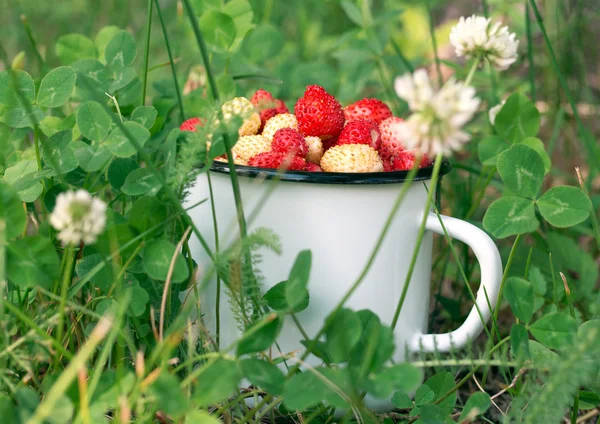 Mok vol wilde aardbeien in het gras — Stockfoto