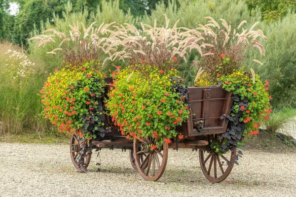 Old agricultural cart decorated with flowers in a village. Alsace, France.
