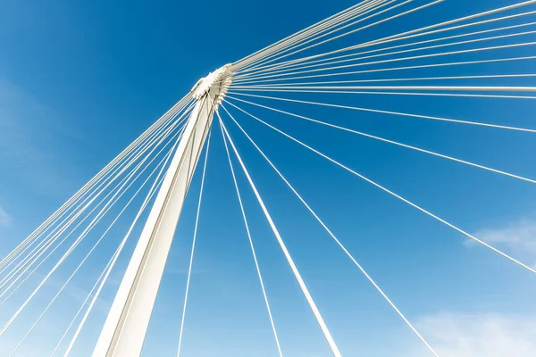 Pěší Most Deux Rives Most Pro Pěší Cyklisty Rýně Mezi — Stock fotografie