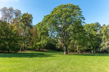 Sonbaharın başlarında Strasbourg 'daki Parc de l' Orangerie 'de. Fransa, Avrupa.